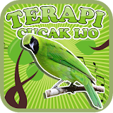 Greater Green Leafbird Therapy icon