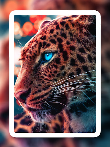 Screenshot of Lion Wallpapers HD - EpicWalls