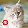 MoboWall 🐱 4K Pretty Animal Wallpapers Application icon