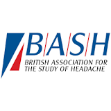 BASH icon