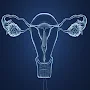 Obstetrics & Gynecology Mnemonics
