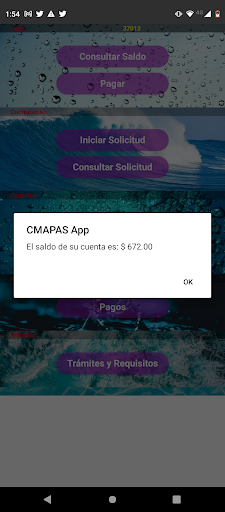 CMAPAS Screen 2