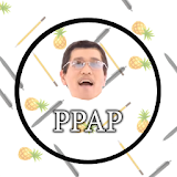 PPAP icon