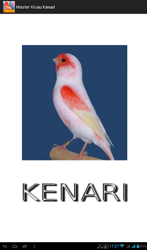 Android application Master Kicau Kenari screenshort