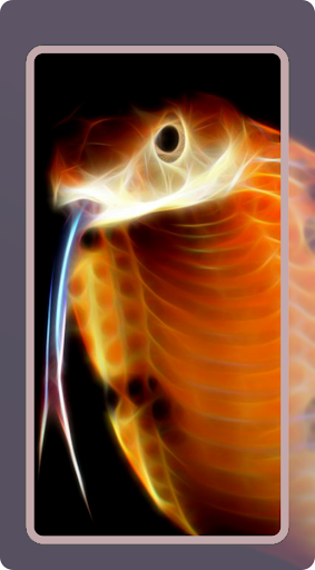 King Cobra Wallpaper