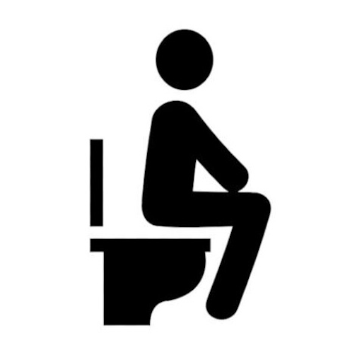 Toilet Password logo