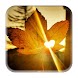 Autumn Wallpapers - Androidアプリ
