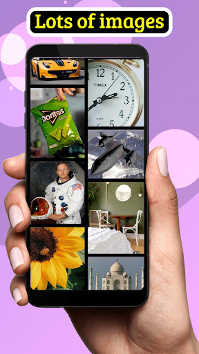 Brick Breaker: Image Hunting Screen 2