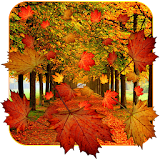 Fall Live Wallpaper icon