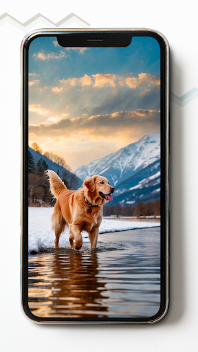 Golden Retriever HD Wallpapers