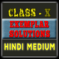 Class 10 math(Hindi)Ncert exemplar