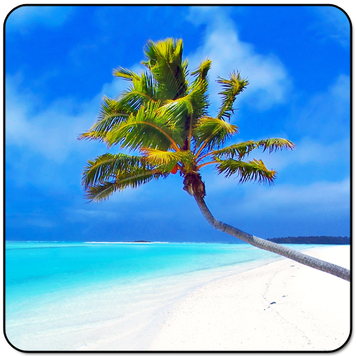 Maldives 3D LWP, True Weather 6.04 Icon