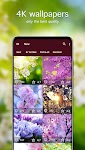 screenshot of Spring Wallpapers 4K