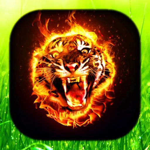 Tiger Wallpaper Live HD/3D/4K logo