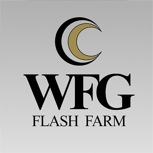 WFG Flash  Icon