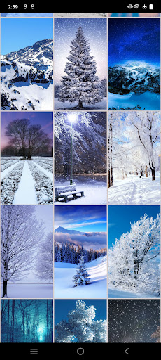 Snow Wallpapers Screen 2