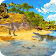 Wild Dinosaur family life jungle simulator icon