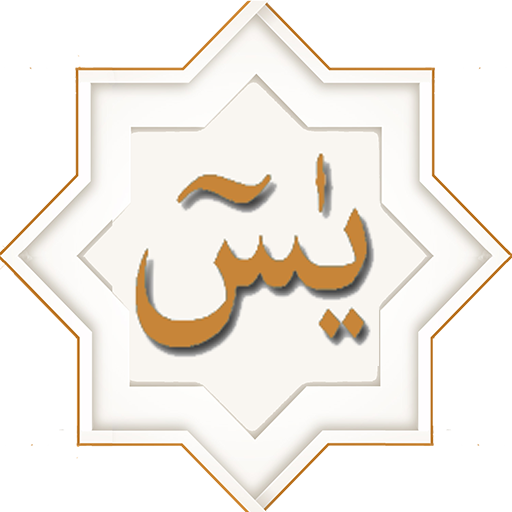 Yasin Mulk Naba Fatah Vakia logo