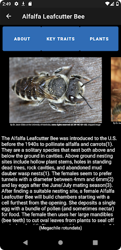 PolliNation ID Screen 3