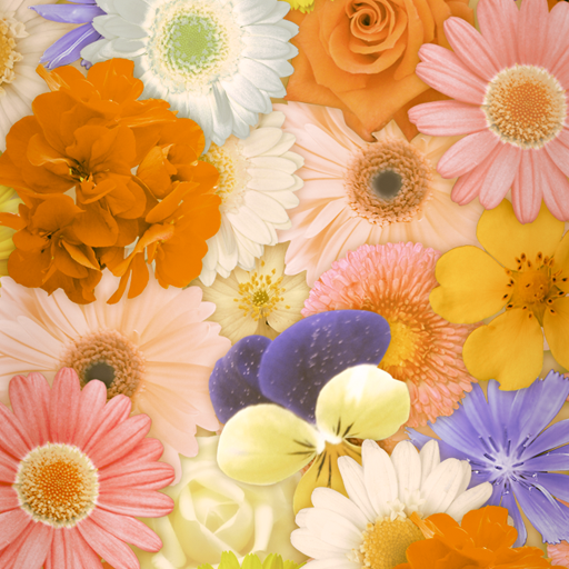 Flower Wallpaper Happiness  Icon