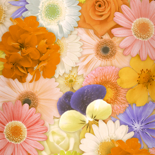 Flower Wallpaper Happiness logo