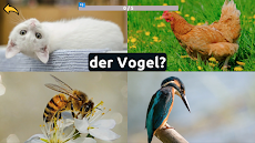 Learn Animals in Germanのおすすめ画像4
