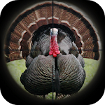 Turkey Hunting Calls Apk