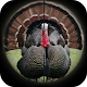 Turkey Hunting Anrufe Auf Windows herunterladen