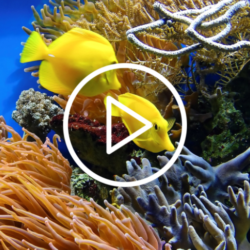Under Ocean Live Wallpaper logo