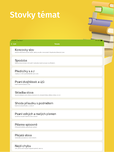 Screenshot of Czech grammar