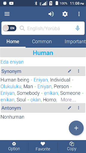 English to Yoruba Dictionary Screen 3