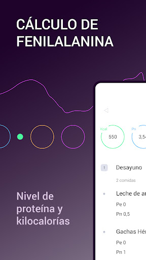 Vista previa de la aplicación