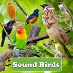 Cover Image of डाउनलोड Pemikat Burung Lengkap Offline  APK