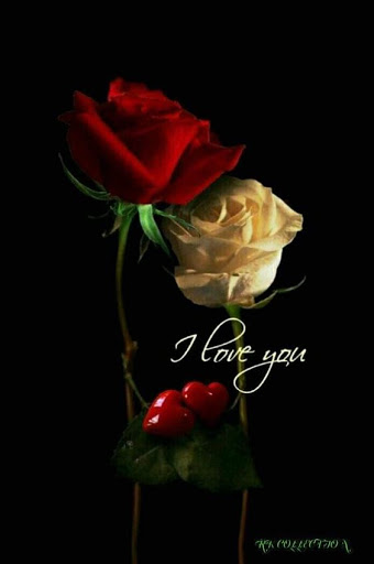 Download Romantic Love Flowers Images Gif 21 Free For Android Romantic Love Flowers Images Gif 21 Apk Download Steprimo Com