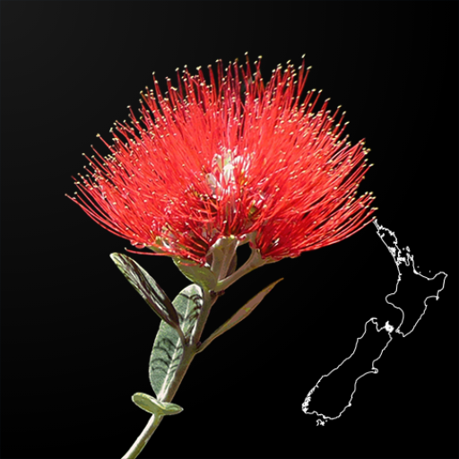 NZ Myrtaceae Key  Icon