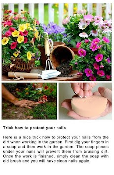 DIY Gardening Tipsのおすすめ画像2