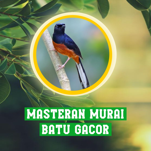 Masteran Murai Batu Gacor logo