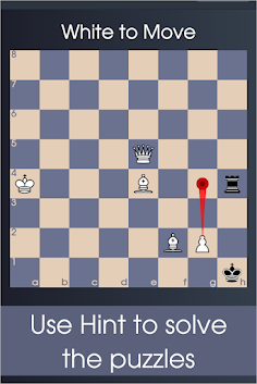 Checkmate puzzles - King Hunt - Screenshot 4