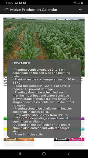 MIG - Maize Information Guide Screen 3