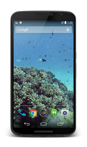 Sea Life Video Live Wallpaper Screen 3
