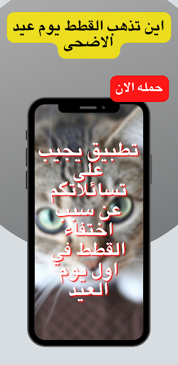 اين تذهب القطط يوم عيد الاضحى Screen 3