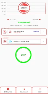 HASSI VIP VPN