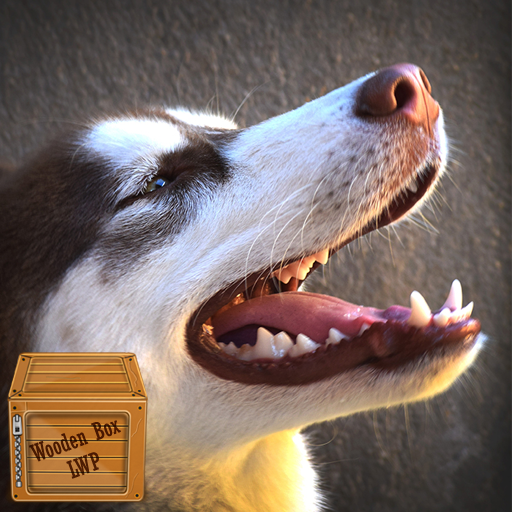 nice dog wallpaper logo