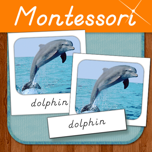 Montessori Three Part Cards - logo