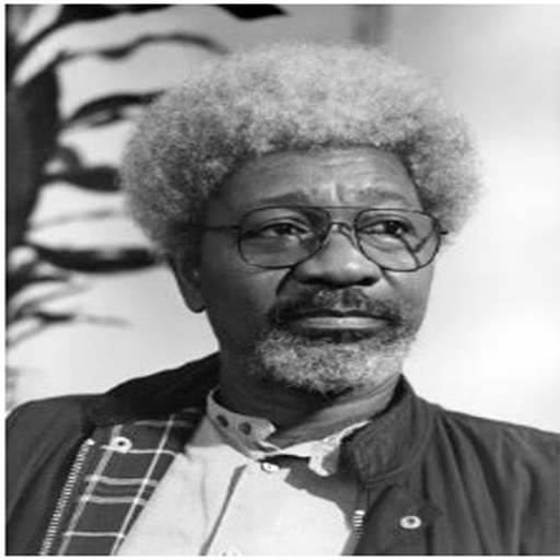 Top 7 of Wole Soyinkas Full N