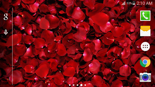 3D Rose Live Wallpaper Screen 2