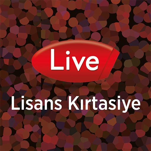 Lisans B2B logo