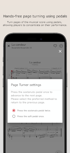 PiaBookPlayer Screen 3