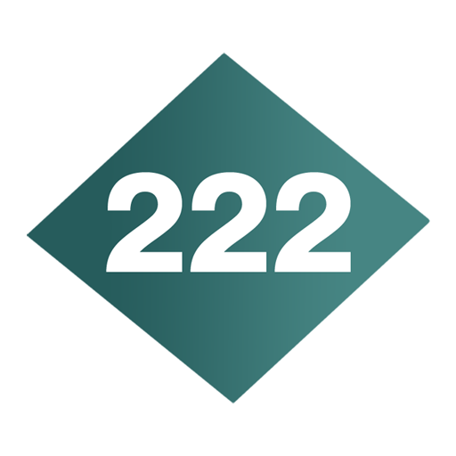 222 Self Storage logo