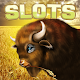 Buffalo Slots | Slot Machine Descarga en Windows
